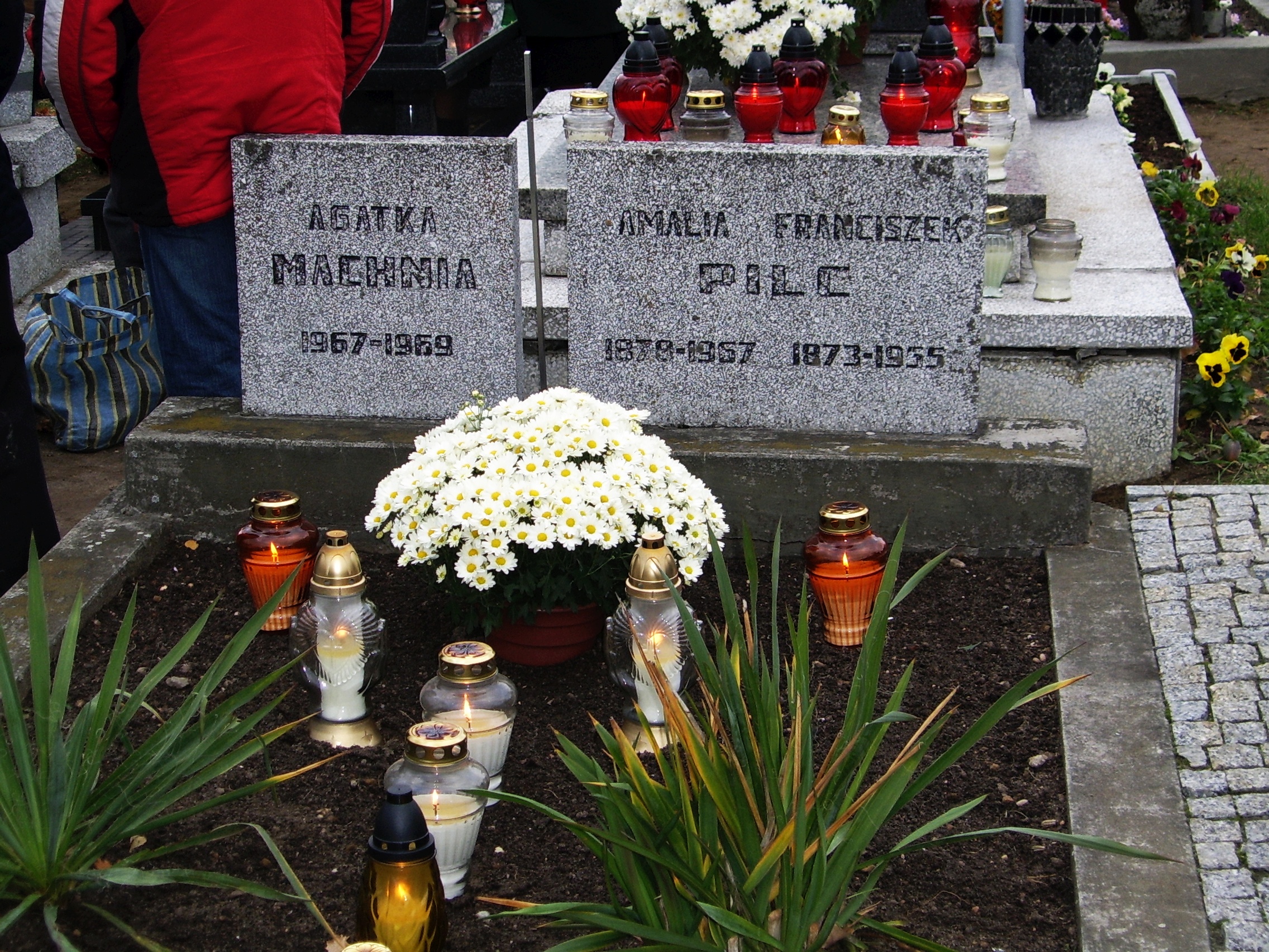 Kto jest ojcem do rozpoznania rodzina Piltz