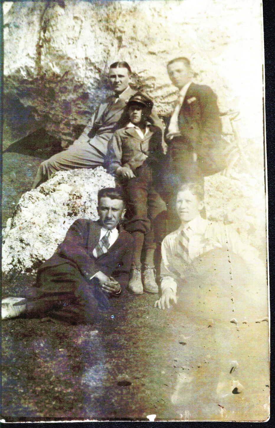 do rozpoznania rodzina Piltz